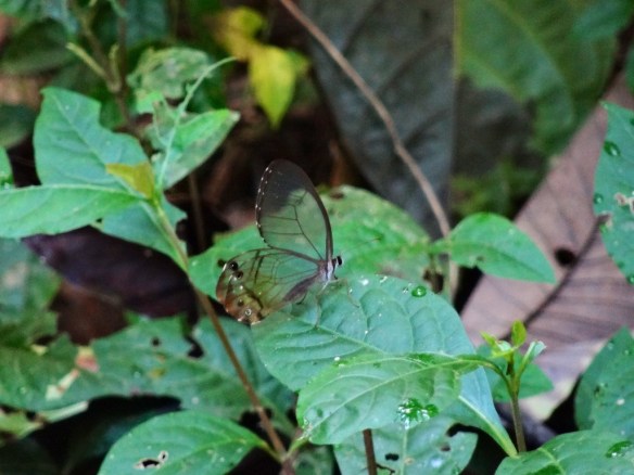 20130705-180859.jpg