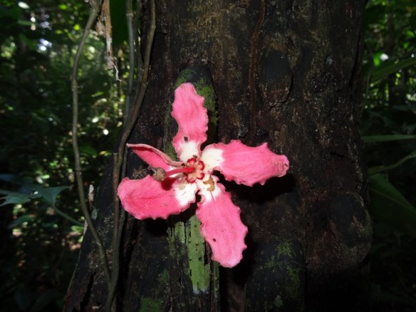 20130705-180935.jpg