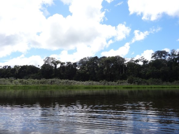 20130705-181001.jpg